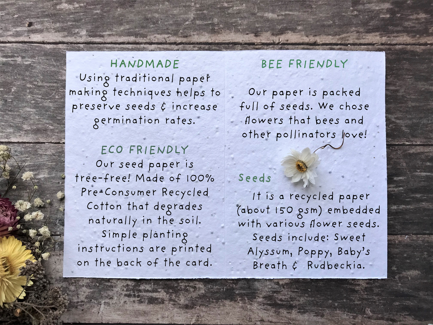 Plantable Seed Paper Thank You Card, Blank Inside