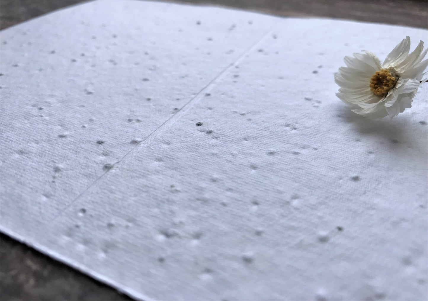 Plantable  Seed Paper Happy Birthday Mum Card