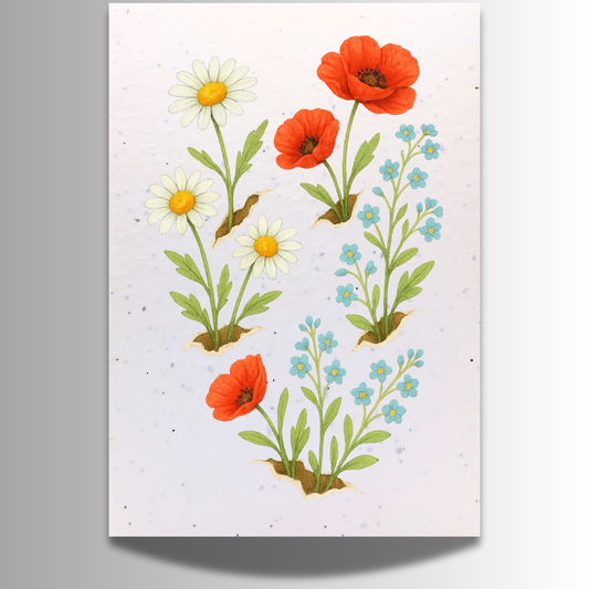 Plantable Seed Birthday Card - Daisies Poppies and Forget-Me-Nots [Blank inside]