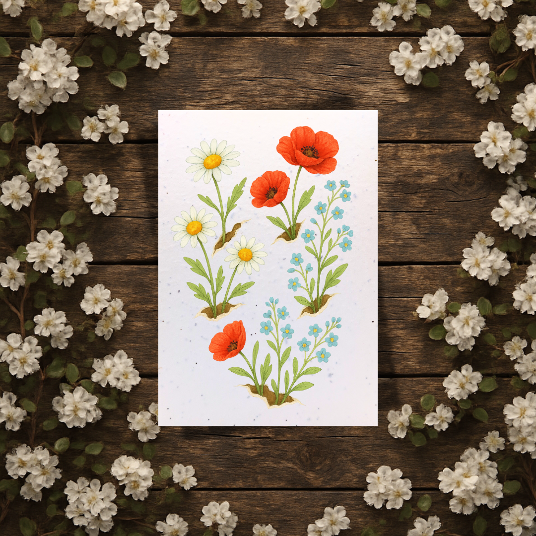 Plantable Seed Birthday Card - Daisies Poppies and Forget-Me-Nots [Blank inside]