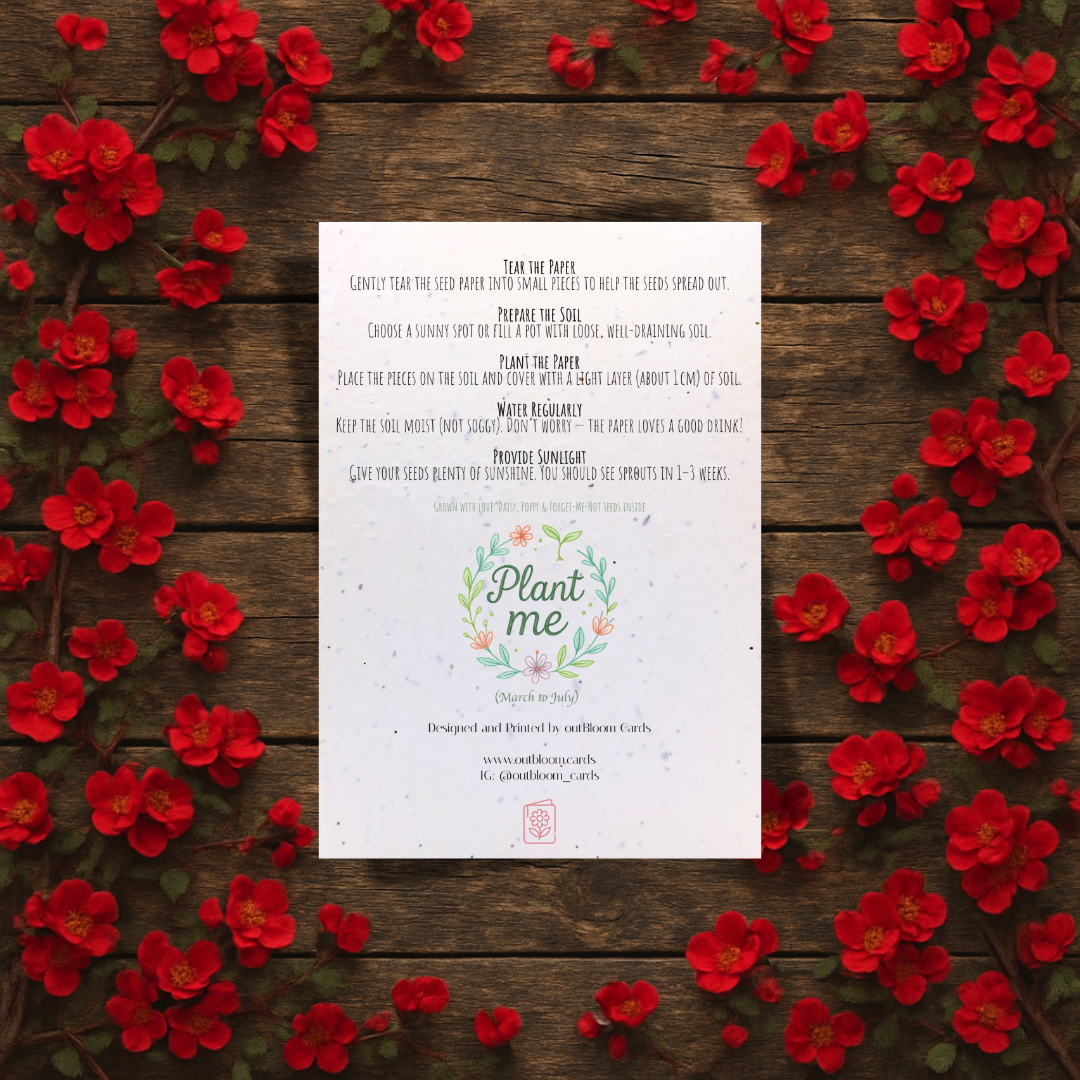 plant your seed in me Plantable Birthday Card – Eco-Friendly Wildflower Seeds