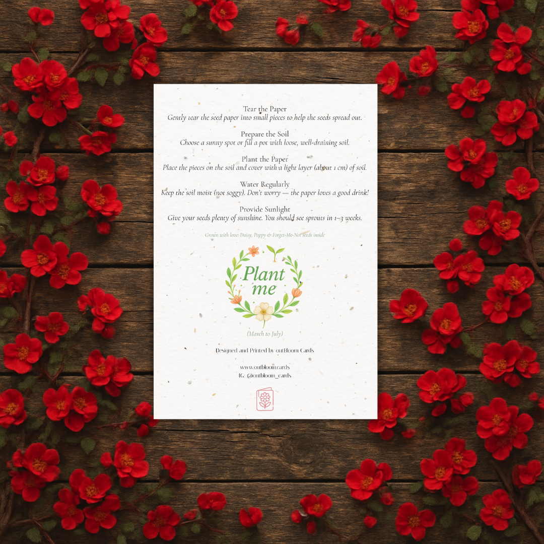 Plantable Seed Card – Illustrated Forget Me Nots [Blank inside]